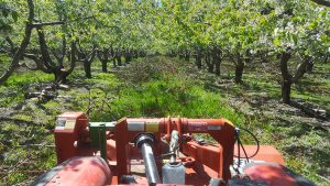 Glacier Construction and Irrigation - Orchards